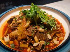 -院8里·小聚园老川菜(九眼桥店)