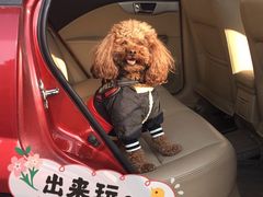 -钟山体育运动公园