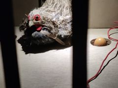 -明日世界密室轰趴·剧本桌游·箭馆团建(国贸店)