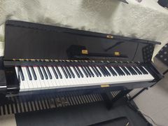 -大象音乐·吉他·架子鼓·声乐(双井店)