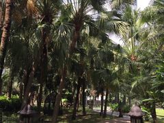 -厦门日月谷温泉渡假村