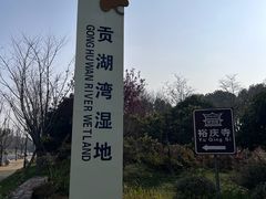 -贡湖湾湿地公园