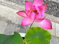 -西安市广仁寺