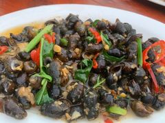 -头塘庄园(农家乐)