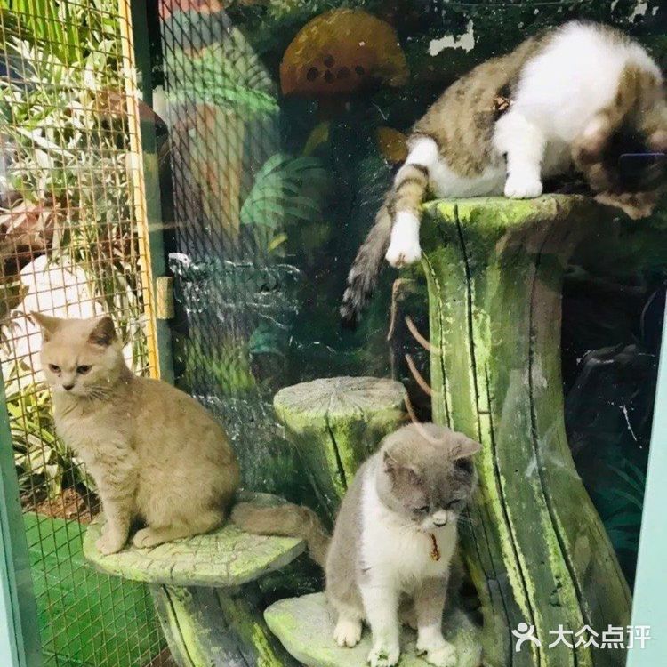 六一放电|可以和动物亲密接触的亲子乐园|团购价好划算～[礼花]