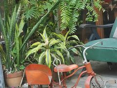 -时光花园(白鹭洲店)