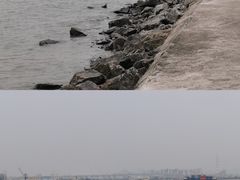 -海鸥岛
