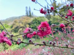 -桃花涧