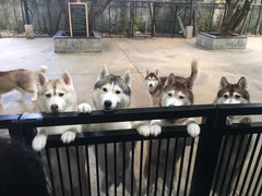 -TrueLove @ Neverland (Husky Cafe)