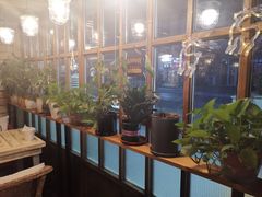 -Cafe Alice咖啡爱丽丝(奥城店)