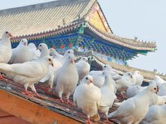 -东堤公园