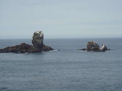 -涉地可支