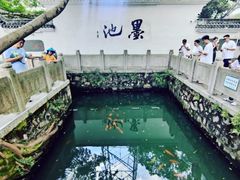 -墨池公园