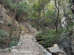 -大岭沟猕猴桃谷风景区