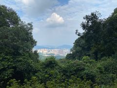 -广州市白云山风景名胜区