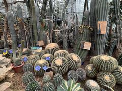 -国家植物园南园