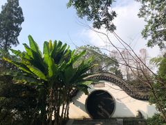 -杭州植物园