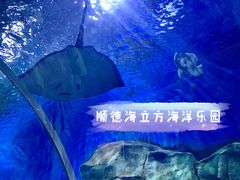 -顺德南宏海立方海洋公园