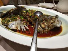 头抽蒸淡水石斑鱼-尚一汤·粤菜海鲜(环球港店)