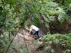 -牛鱼嘴原始生态风景区