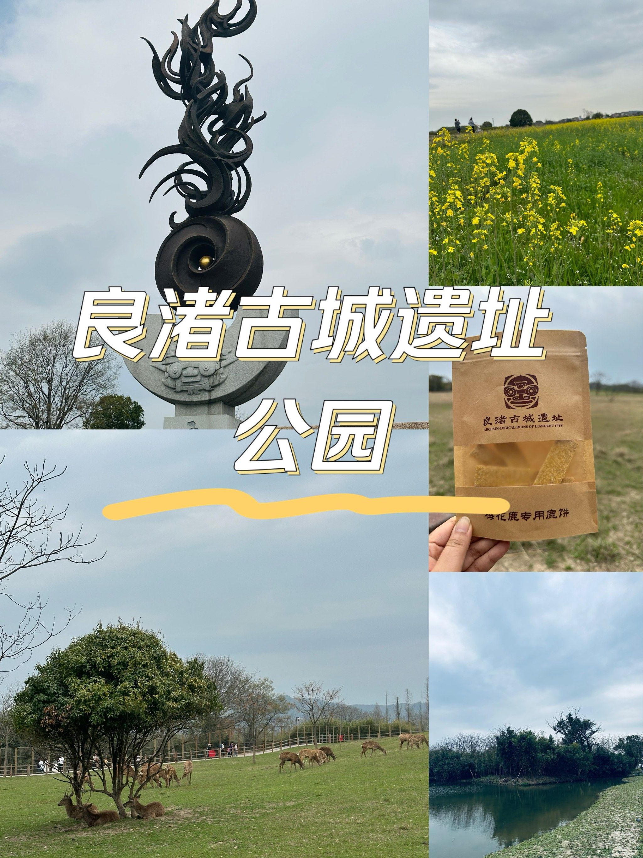 杭州打卡丨良渚遗址公园门票免费啦[礼花]