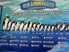 -珠海长隆海洋王国