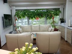 -精德口腔·种植修复·儿牙中心(财富中心店)