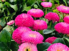 -紫颐香薰山谷景区