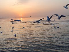 -金梦海湾浴场