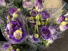 -循礼门鲜花花市(武汉循礼门店)