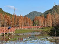 -广州市石门国家森林公园
