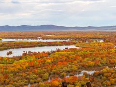 -长白岛森林公园