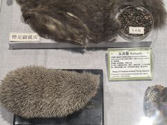 -北京中医药大学-中医药博物馆