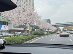 -悦厅·下午茶(杭州柏悦酒店)