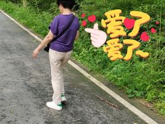 -黄海国家森林公园