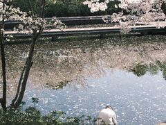 -诺贝尔湖公园