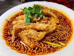 -红辣椒·川菜·火锅(大洋中心店)