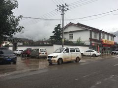 -蘑统田下·野生菌火锅