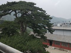 -妙峰山风景名胜区