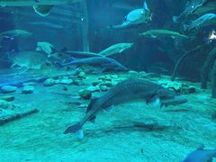 -华夏文旅海洋公园