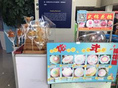 -中国杭州低碳科技馆