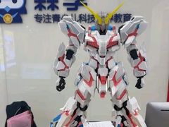 -森孚机器人编程·STEM积木·等级考试(虹口足球场中心)