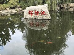 -羊亭河湿地公园