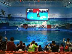 -多彩贵州城极地海洋世界