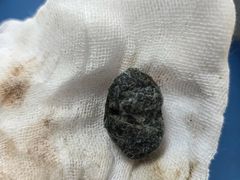 -派美特宠物医院·核磁CT·骨科肿瘤·疑难转诊(沈农禾丰店)