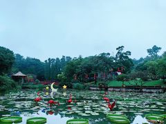 -广州莲花山旅游区