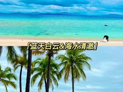 -沉浸北京·团建旅行·密室剧本杀·年会会议轰趴拓展
