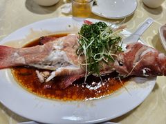 -老字号蛇口德记烧腊饭店·海鲜加工