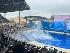 -上海海昌海洋公园
