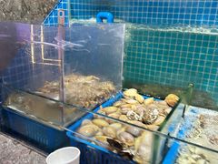 -曼格活海鲜·牛排自助(光明蓝鲸店)